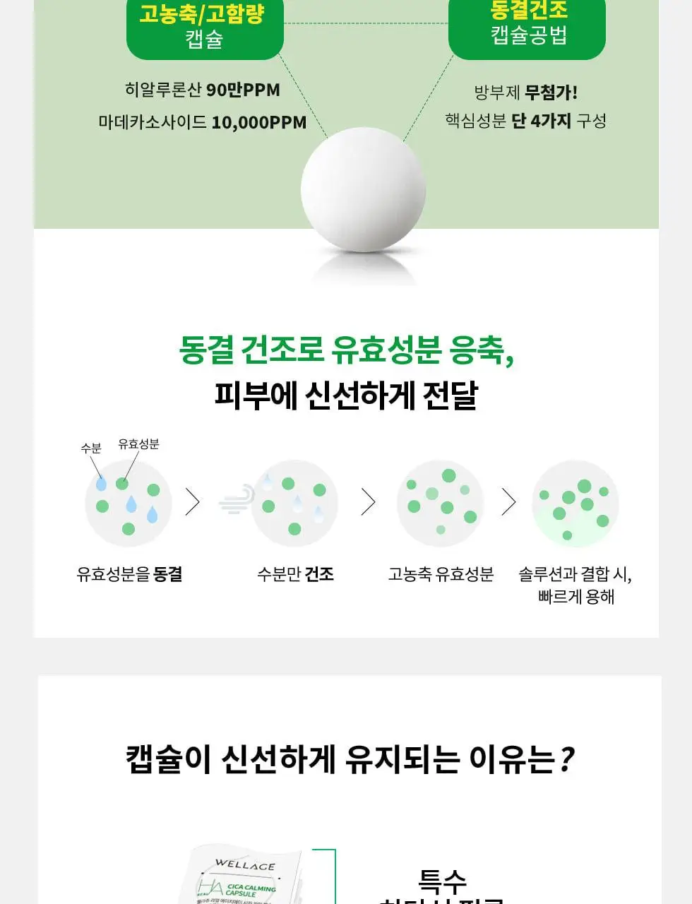 [중요한날하루전] 웰라쥬 원데이키트 캡슐 앰플 7개입 4종 택1 (PDRN/히알/시카/토닝) 상세페이지 36